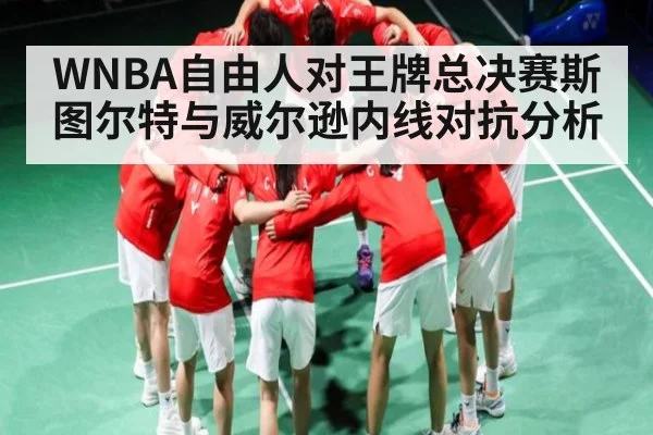 WNBA自由人对王牌总决赛斯图尔特与威尔逊内线对抗分析